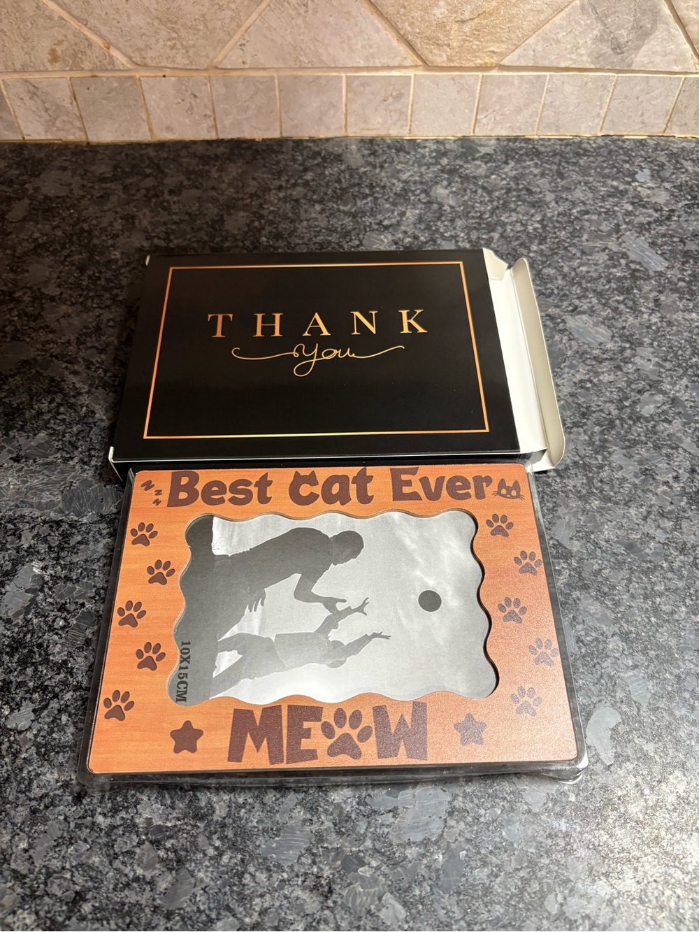 Best Cat Ever Picture Frame